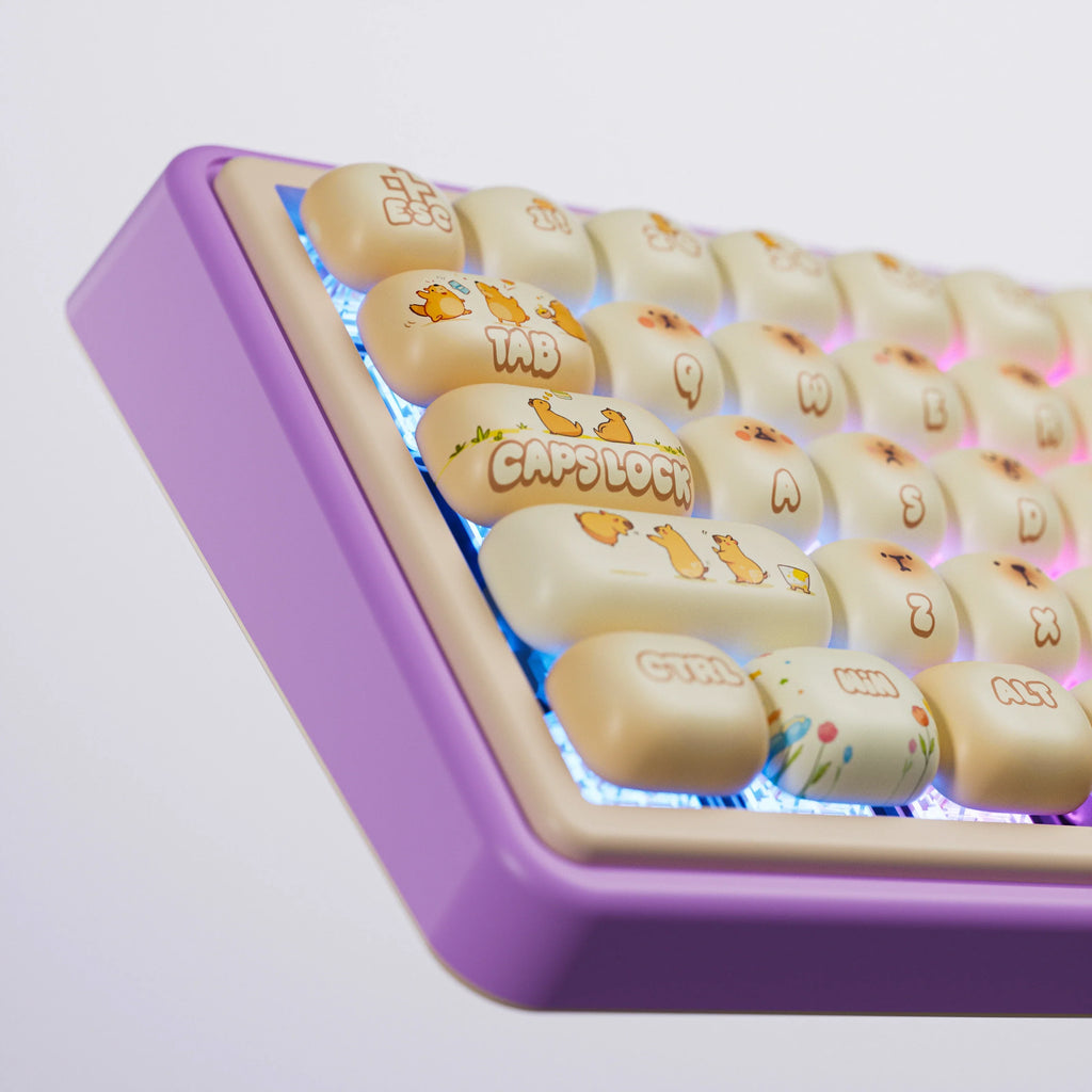 QwertyKey65 Pro Capybara Limited Edition – vezeték nélküli mechanikus gamer billentyűzet, hot-swap, Full RGB, VIA