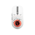 QKM1 Rice White egérburkolat